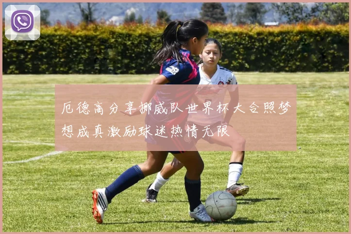 厄德高分享挪威队世界杯大合照梦想成真激励球迷热情无限